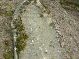 image of grave number 206356